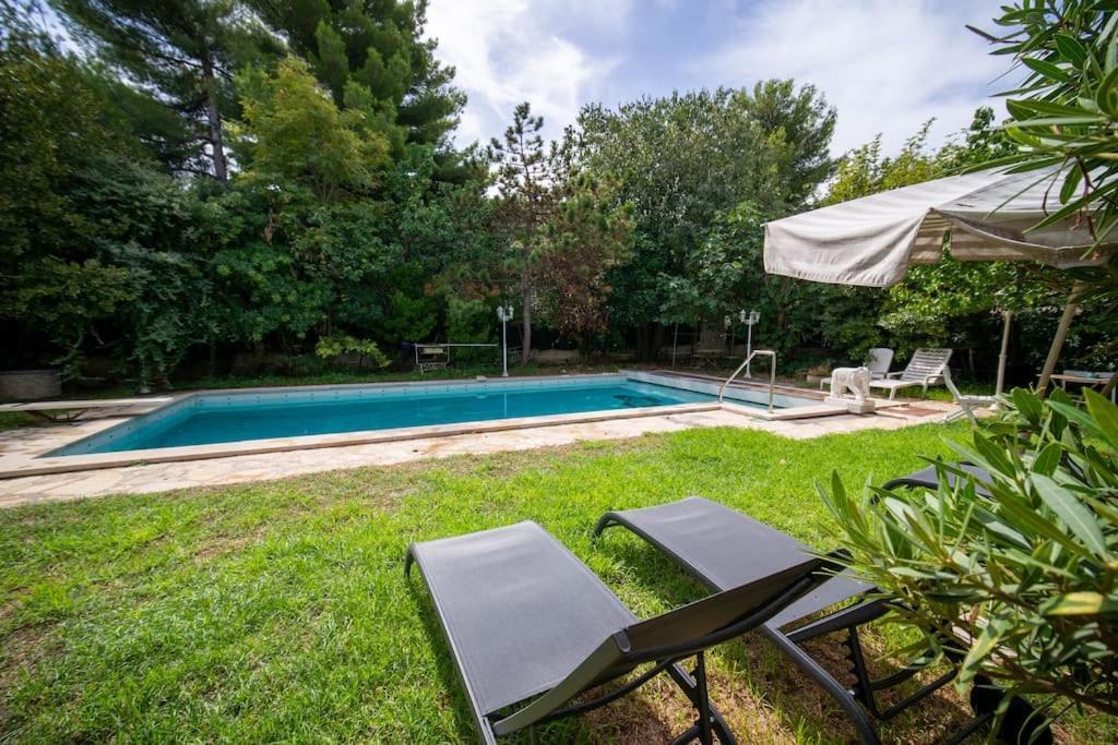 Le Figuier Air-conditioned Studio And Swimmin *